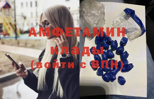 стаф Алексин