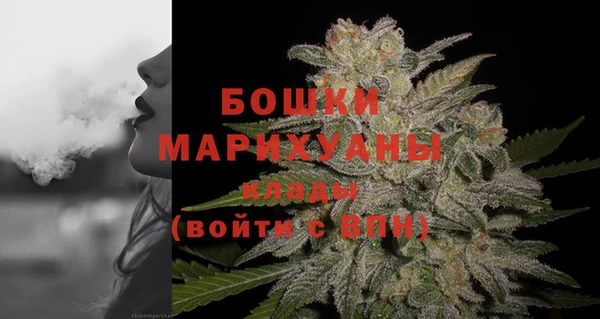 прущие грибы Грязи