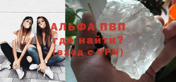 стаф Алексин